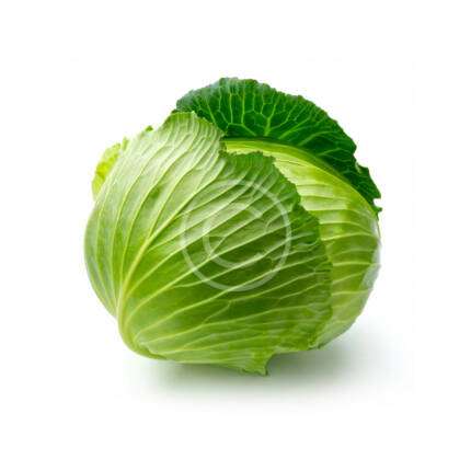 Green Cabbage