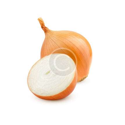 Onion