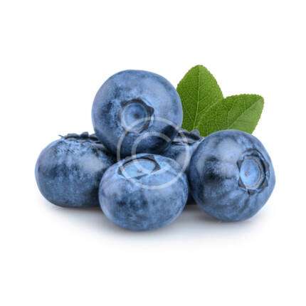 Fresh Blueberry